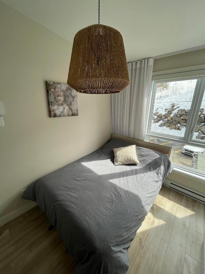 Le Riverain - Condo Neuf Au Bord De L'Eau Shawinigan Eksteriør billede
