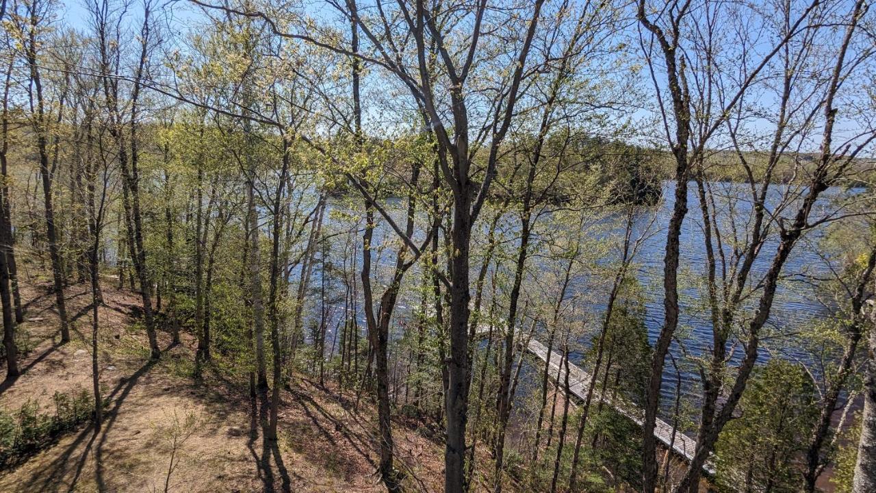 Le Riverain - Condo Neuf Au Bord De L'Eau Shawinigan Eksteriør billede